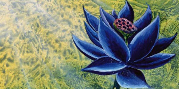 black-lotus-art