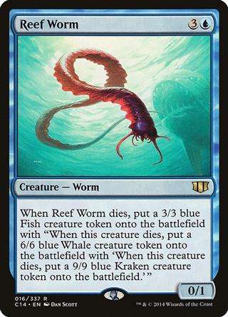 Reef Worm