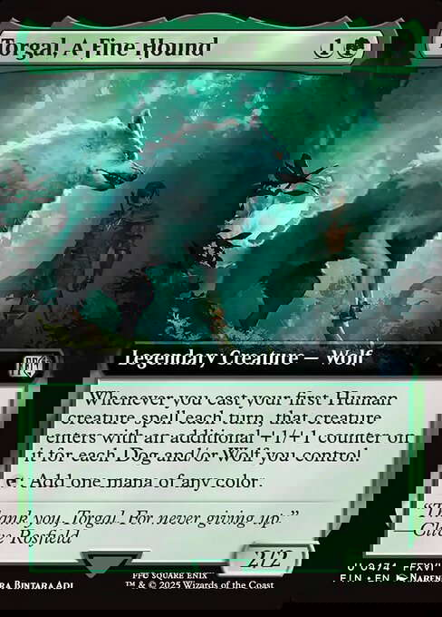 Torgal, A Fine Hound