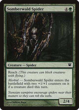 Somberwald Spider